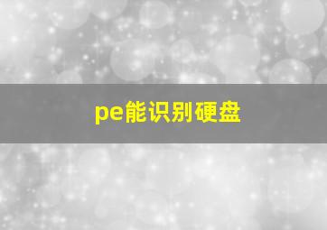 pe能识别硬盘