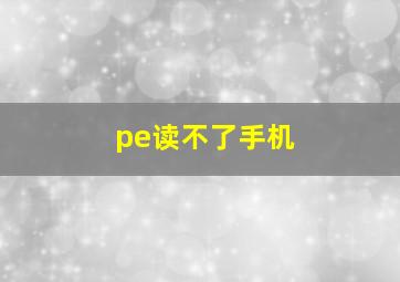 pe读不了手机