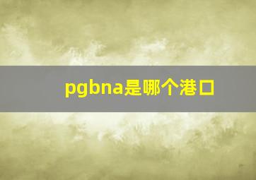 pgbna是哪个港口