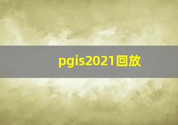 pgis2021回放