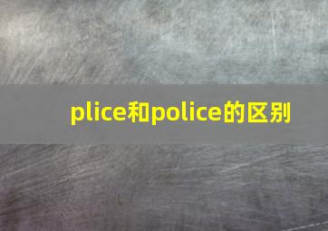 plice和police的区别