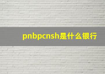 pnbpcnsh是什么银行