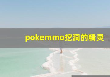 pokemmo挖洞的精灵