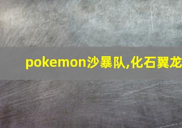 pokemon沙暴队,化石翼龙