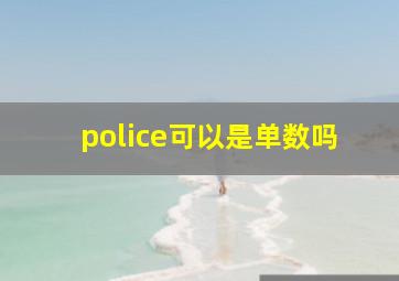 police可以是单数吗