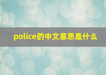 police的中文意思是什么