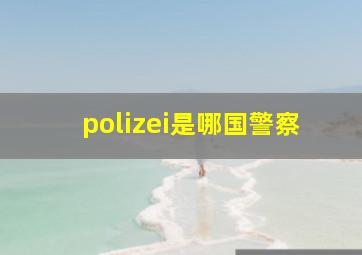 polizei是哪国警察