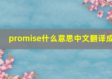 promise什么意思中文翻译成