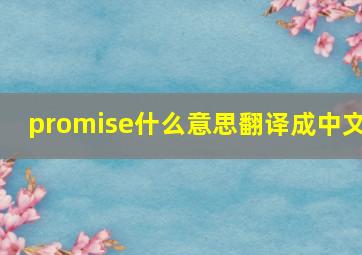 promise什么意思翻译成中文