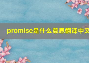 promise是什么意思翻译中文