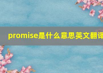 promise是什么意思英文翻译