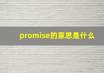 promise的意思是什么