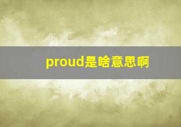 proud是啥意思啊