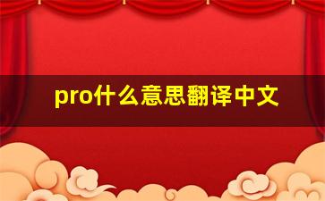 pro什么意思翻译中文