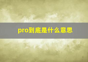 pro到底是什么意思