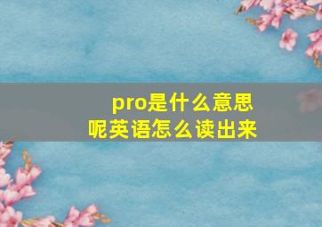 pro是什么意思呢英语怎么读出来