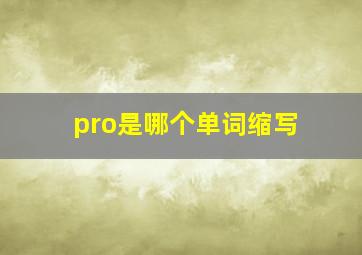 pro是哪个单词缩写