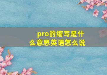 pro的缩写是什么意思英语怎么说