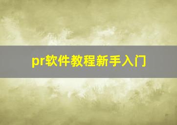 pr软件教程新手入门