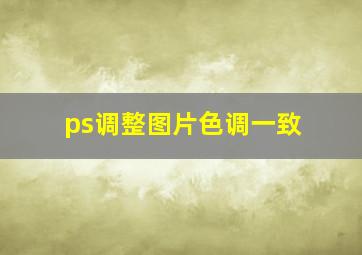 ps调整图片色调一致