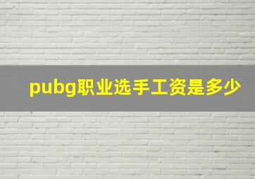 pubg职业选手工资是多少