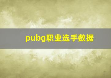 pubg职业选手数据