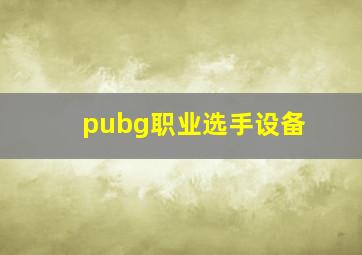 pubg职业选手设备