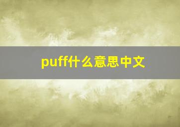 puff什么意思中文