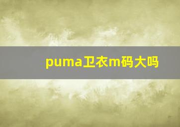 puma卫衣m码大吗