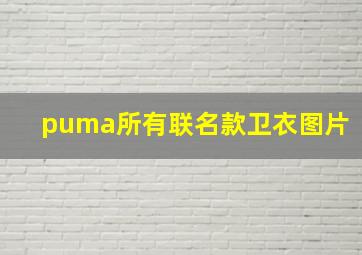 puma所有联名款卫衣图片