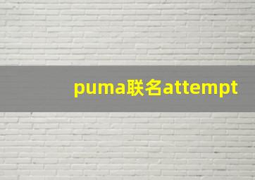 puma联名attempt