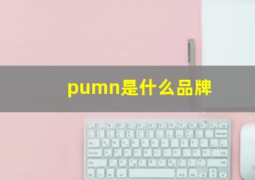 pumn是什么品牌