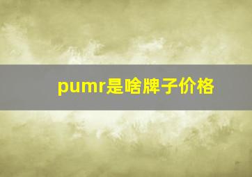 pumr是啥牌子价格