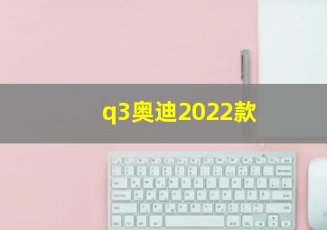 q3奥迪2022款