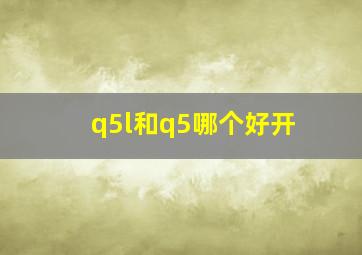 q5l和q5哪个好开