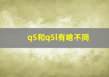 q5和q5l有啥不同