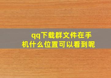 qq下载群文件在手机什么位置可以看到呢