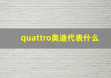 quattro奥迪代表什么