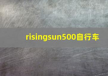 risingsun500自行车