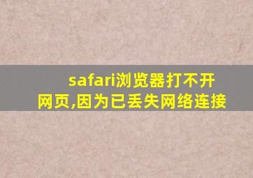 safari浏览器打不开网页,因为已丢失网络连接