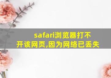 safari浏览器打不开该网页,因为网络已丢失