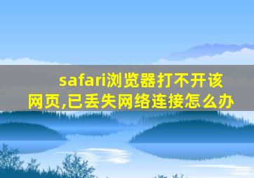 safari浏览器打不开该网页,已丢失网络连接怎么办