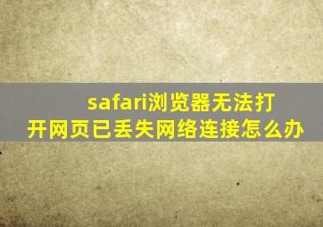 safari浏览器无法打开网页已丢失网络连接怎么办