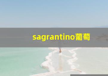 sagrantino葡萄