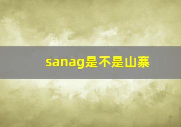 sanag是不是山寨