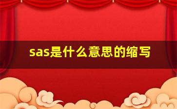 sas是什么意思的缩写