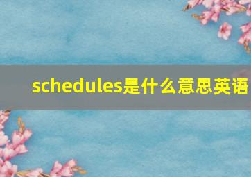 schedules是什么意思英语