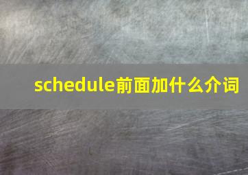 schedule前面加什么介词