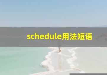 schedule用法短语