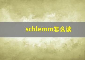 schlemm怎么读